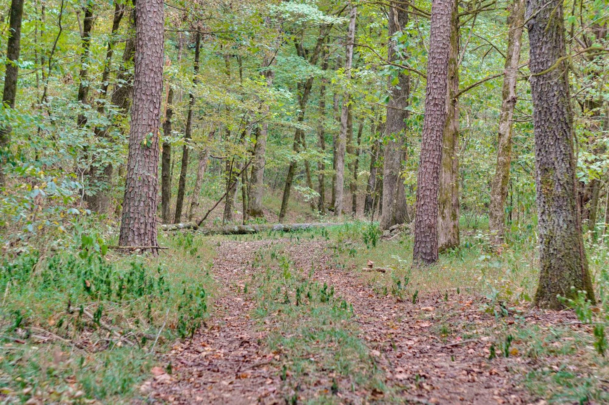 Ozark Mountain Cabin Rental On 300-Acre Ranch Ngoại thất bức ảnh